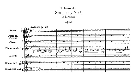 チャイコフスキー　交響曲第5番　解説